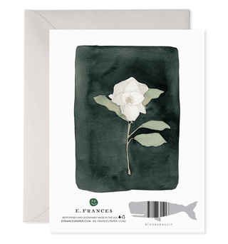 e frances paper greeting note cards