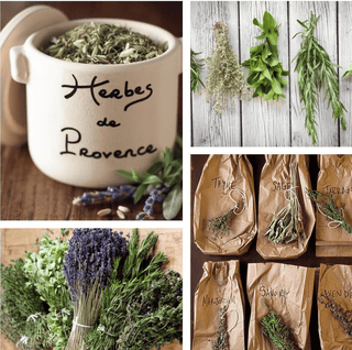 Gourmet Food Solutions, Inc. - Herbs de Provence in a handmade crock | Anysetiers du Roy
