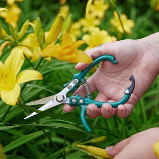 pruning shears