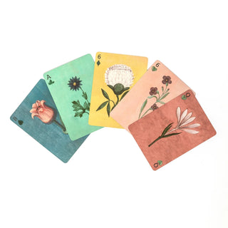 Roomytown Playing Cards - Double Deck