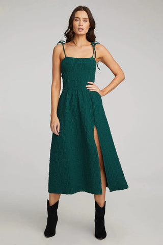 Saltwater Luxe Britton Midi Dress - Taryn x Philip Boutique