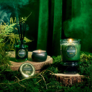 voluspa wicked bewitching banyan forest boxed candle
