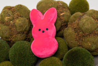 Easter Peeps - Taryn x Philip Boutique
